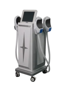 18-emsculpture-style1-main-03